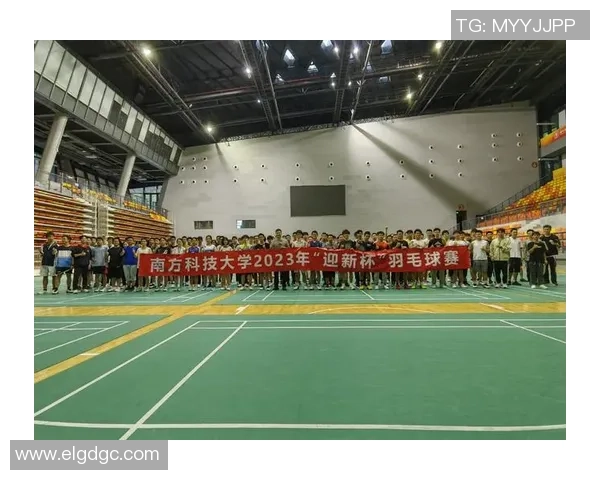 南京羽毛球队战术解析：聚焦技术与团队协作的完美结合