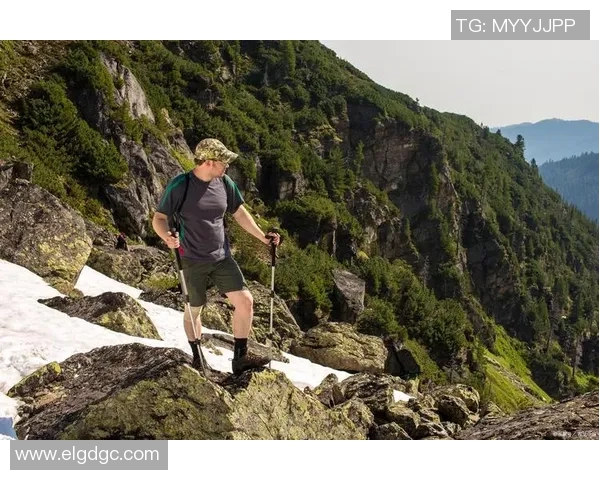 上海攀岩队灵活性分析与提升策略探讨之攀岩焦点