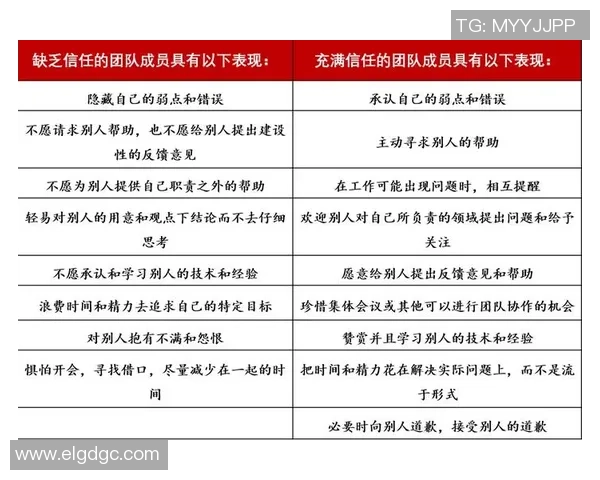 成都乒乓球队团队协作引发热议与争议的背后故事探讨