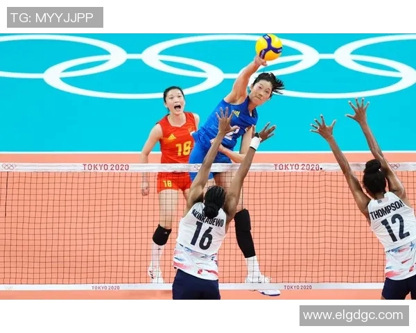 对话杨静：回顾排球生涯与未来展望的深度交流