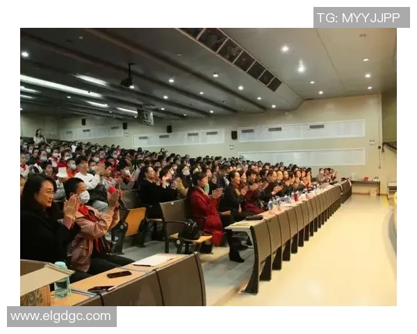 深圳排球队的转型与创新探索引领未来发展新篇章