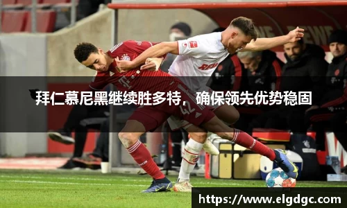 明发国际官网