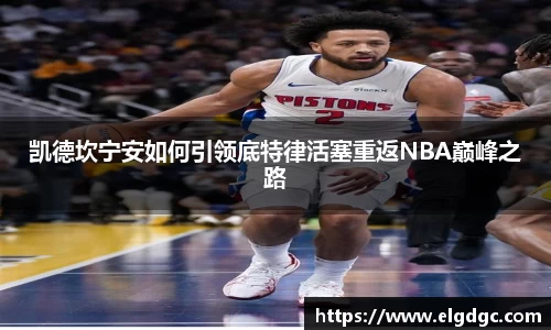 明发国际