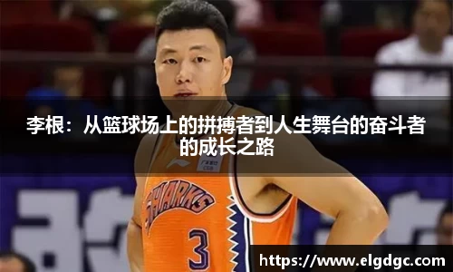 明发国际官方网站