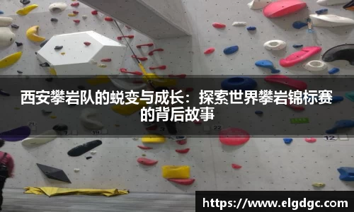 明发国际官方app